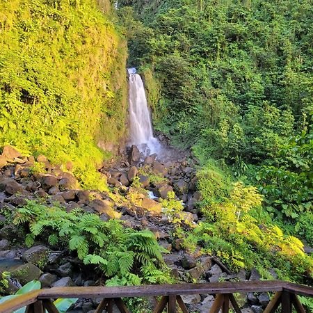 Tim'S & Mag'S Home Stay ロゾー エクステリア 写真